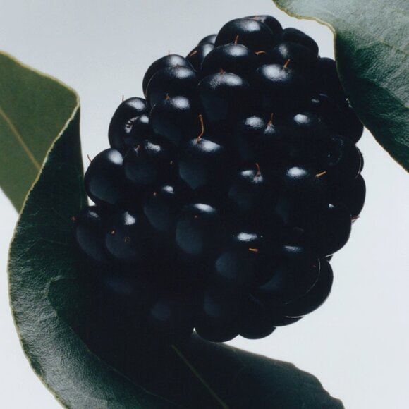 🎄 Jo Malone Blackberry & Bay Cologne - BUNDLE SPECIAL, READ - Picture 2 of 6